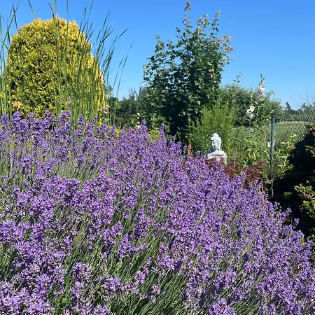 Wohnlust 1 Malchow (Mecklenburg-Vorpommern)